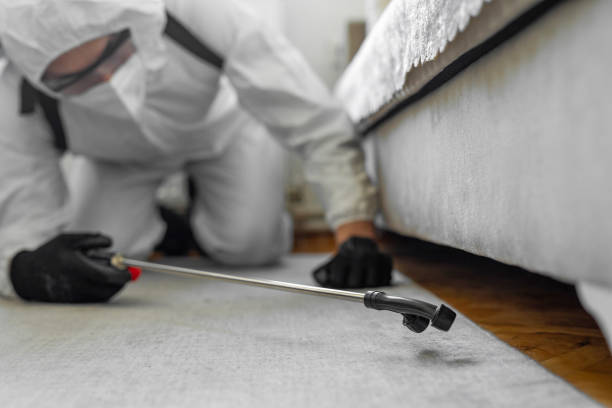 Professional Termite Control technician working in Arizona City, AZ
